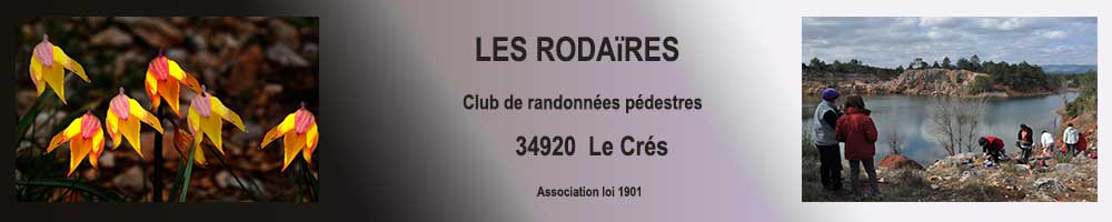 Logo du Site du Zro