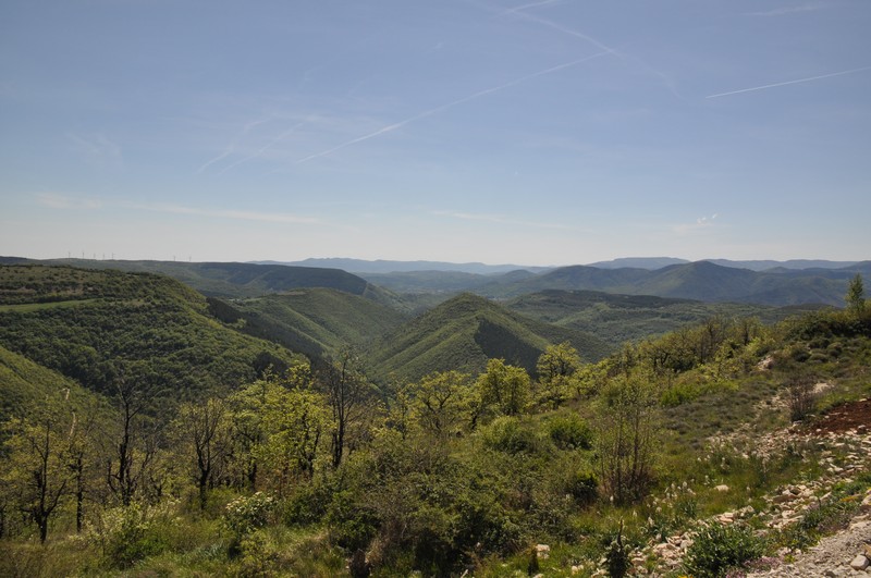 Slide 2