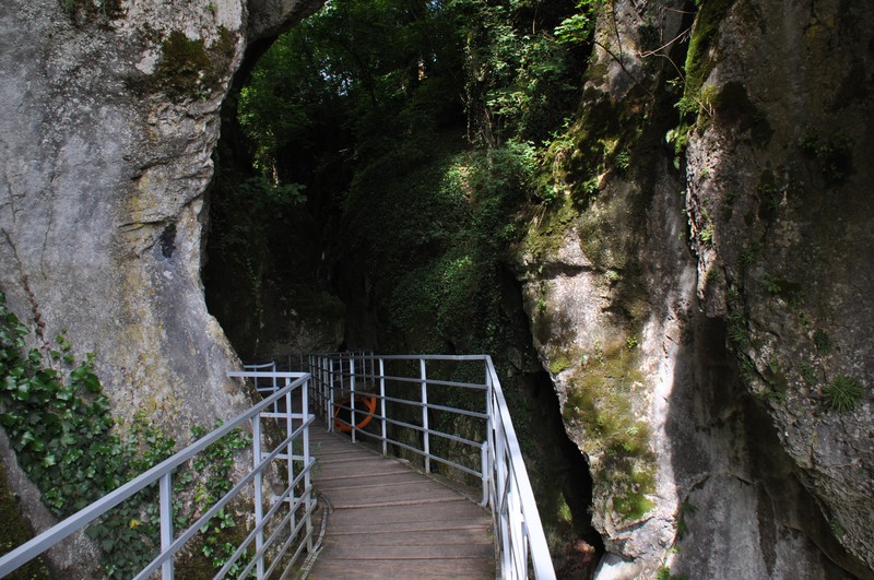 Slide 6