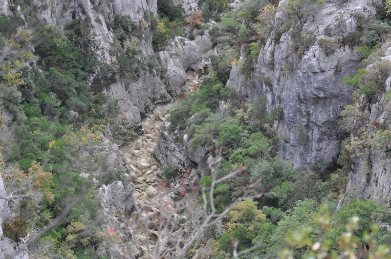 Slide 6