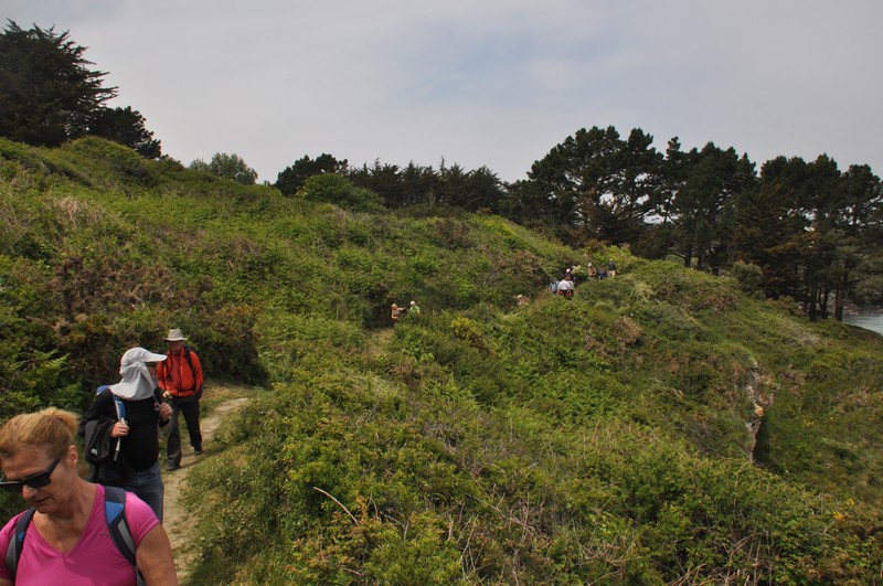 Slide 6