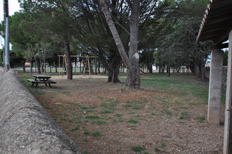 Slide 6