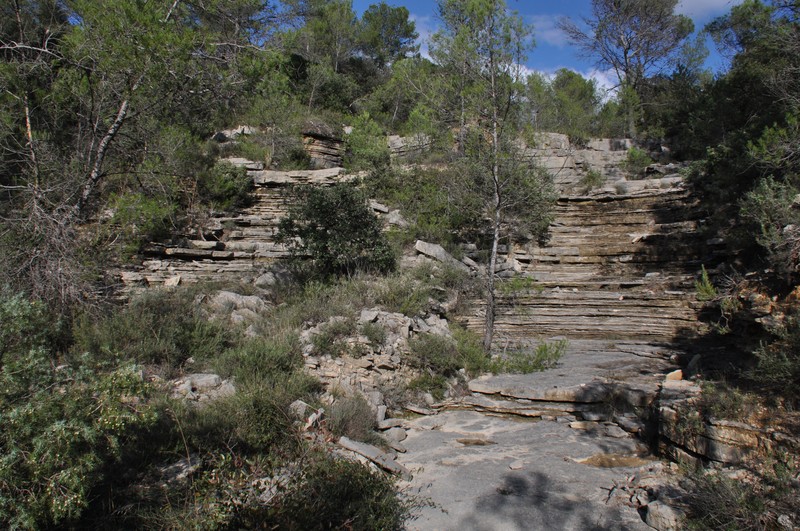 Slide 6
