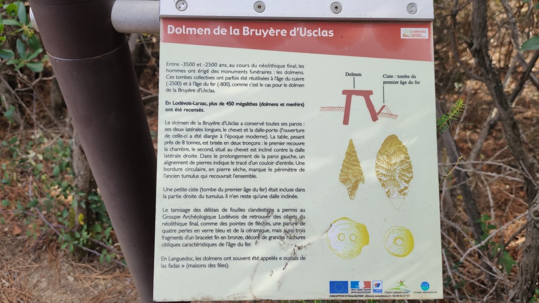 Slide 6