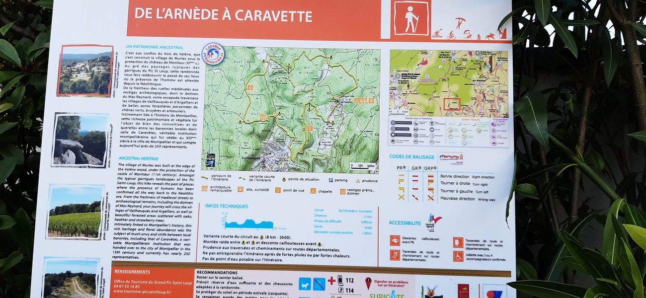 Slide 5