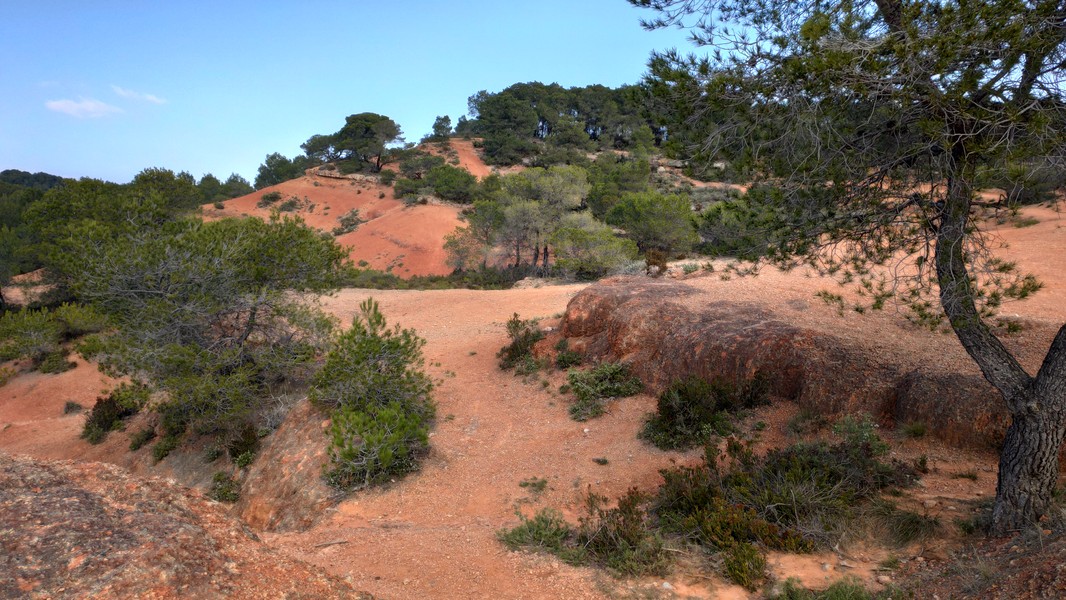 Slide 4