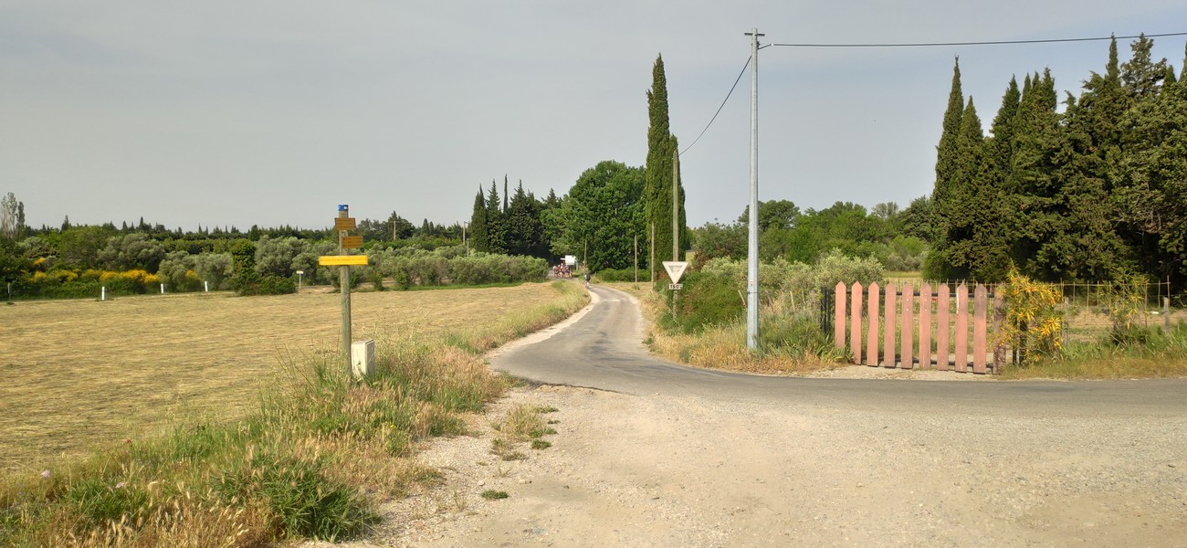 Slide 1