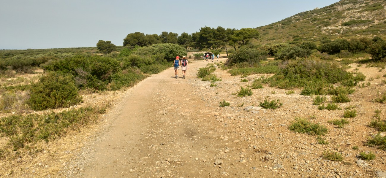 Slide 6