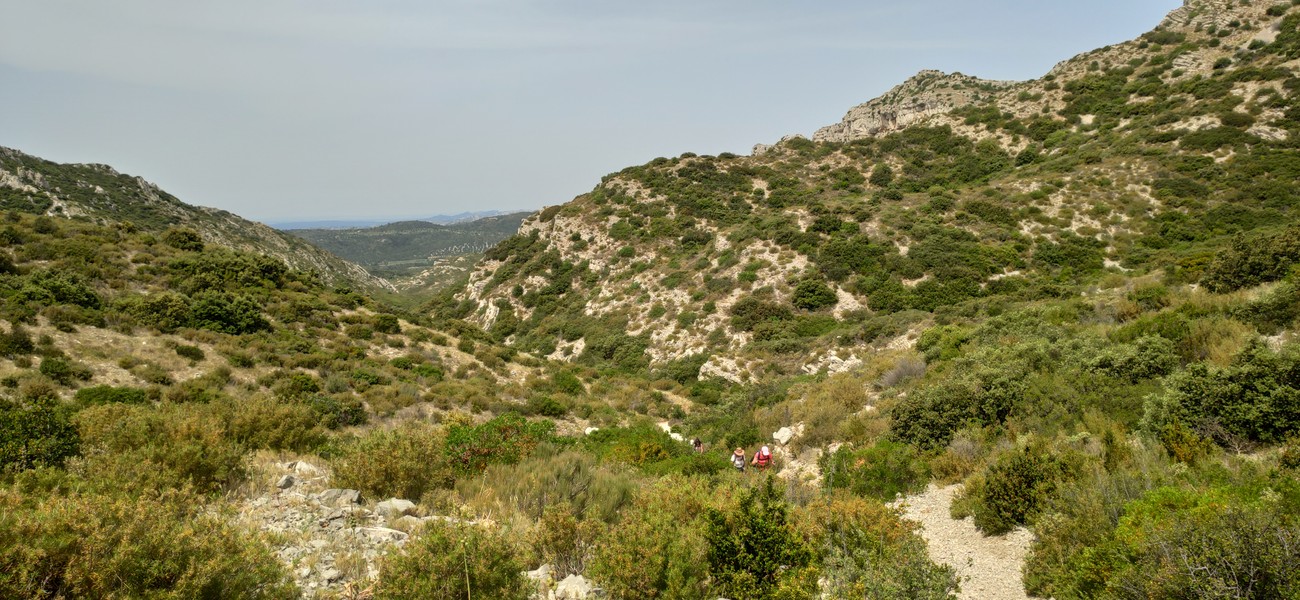 Slide 6