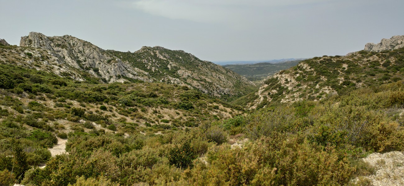 Slide 6