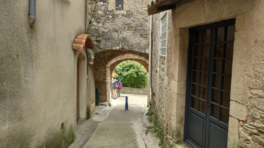 Slide 5