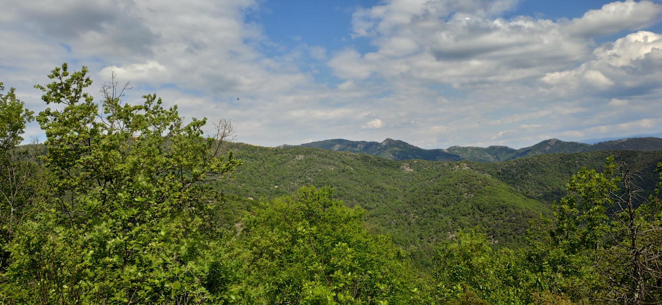 Slide 2