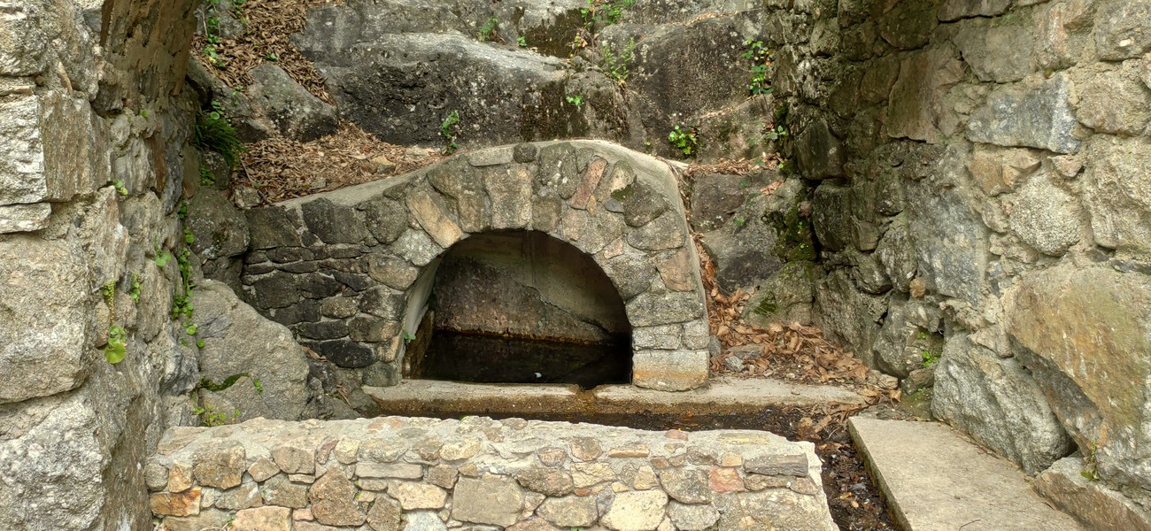 Slide 7