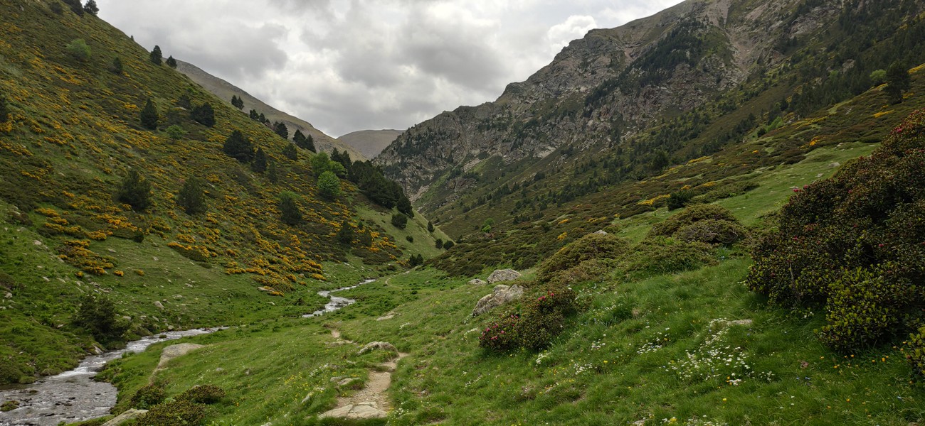 Slide 7