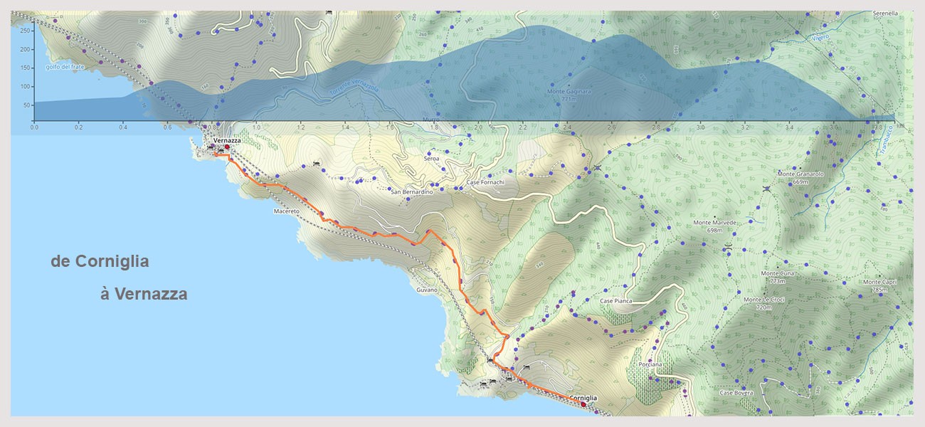 Slide 6