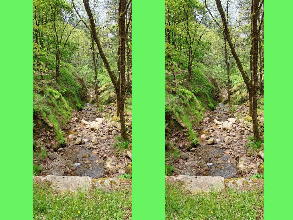Slide 5