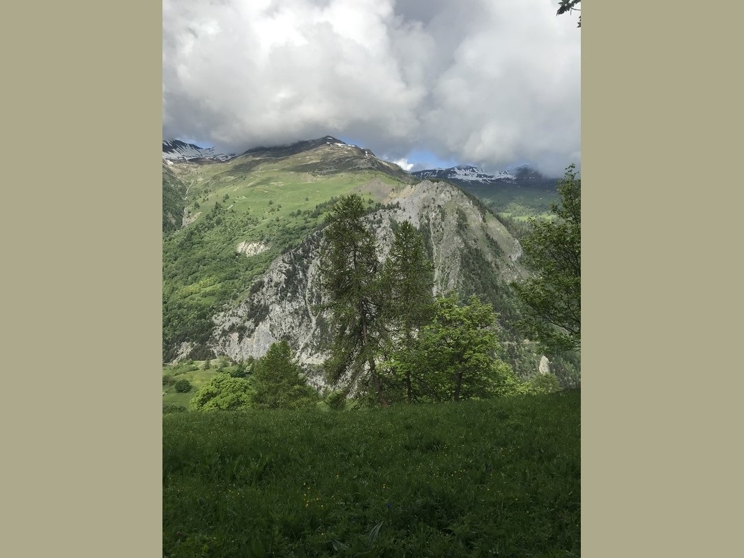 Slide 5