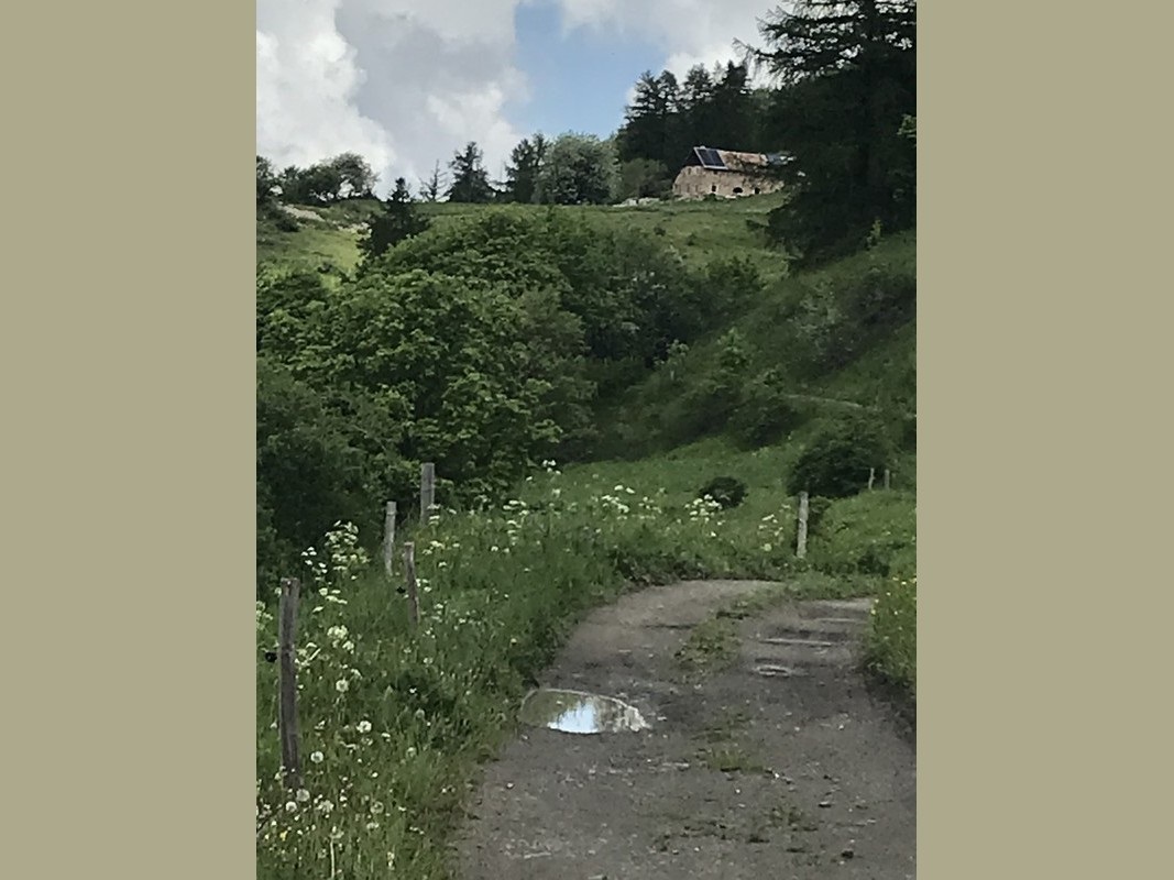 Slide 5