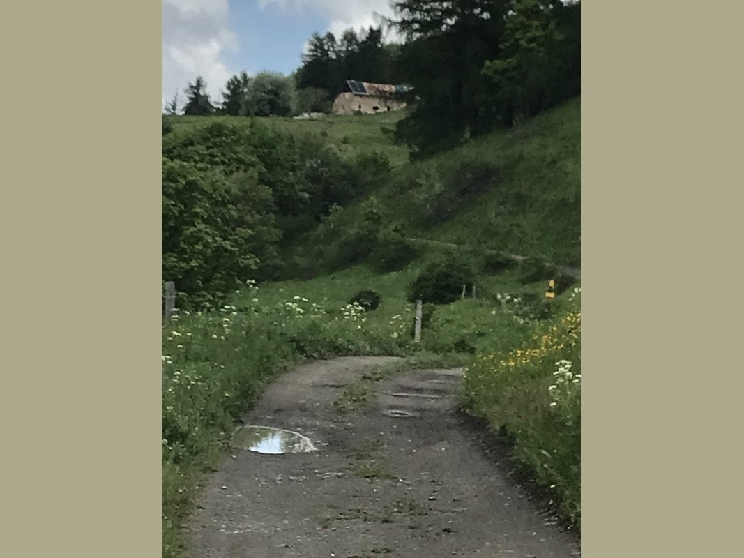 Slide 6