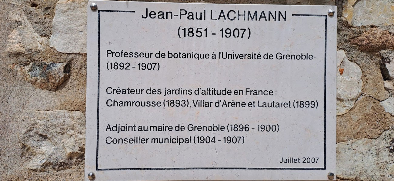 Slide 6