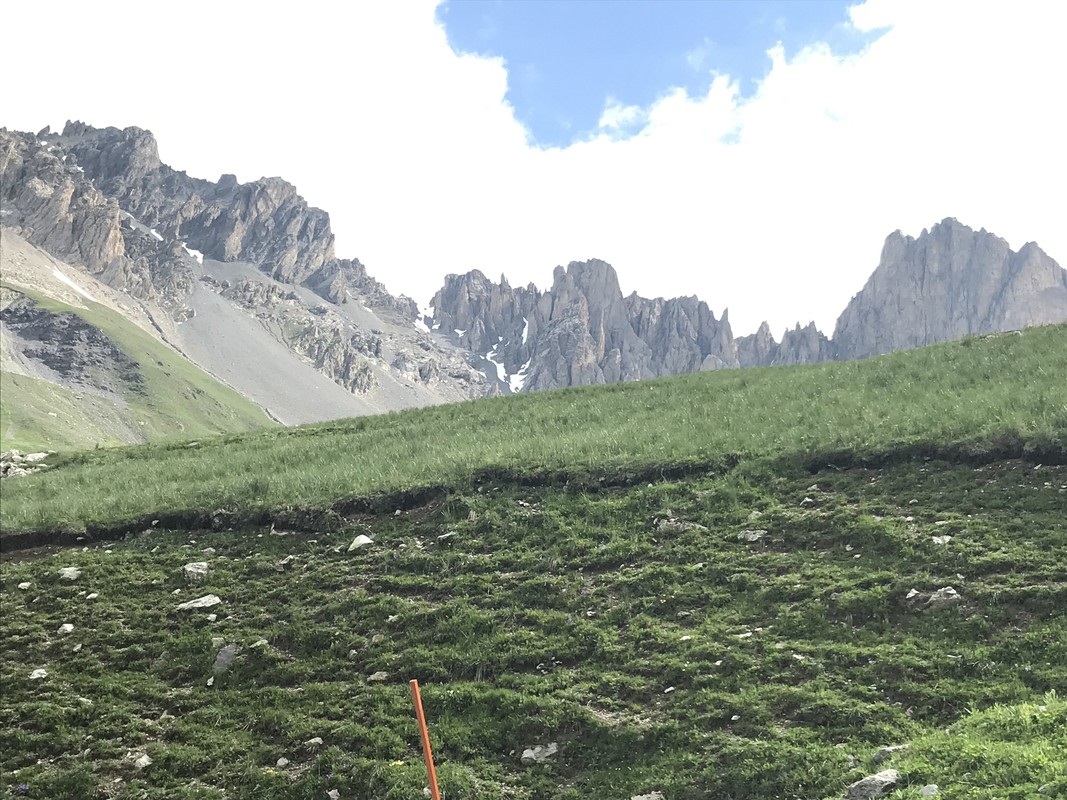 Slide 6