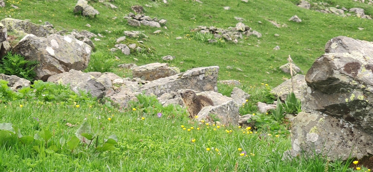 Slide 3