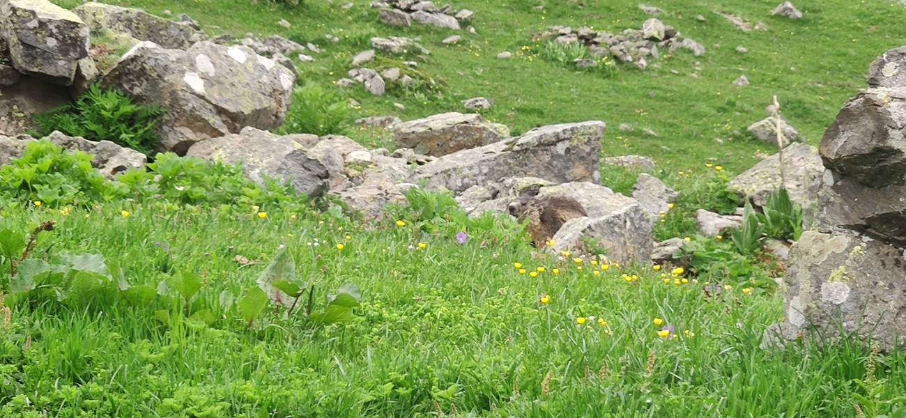 Slide 4
