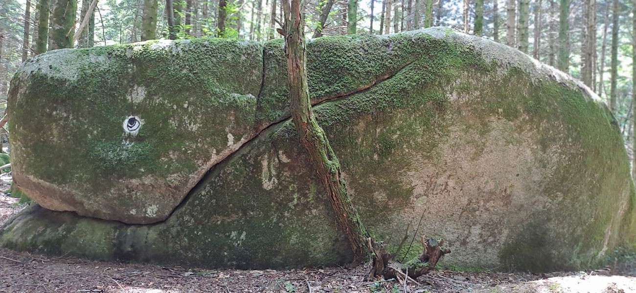Slide 2