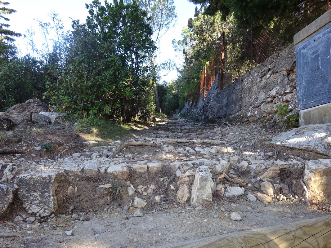 Slide 3