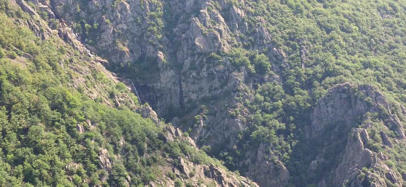 Slide 6