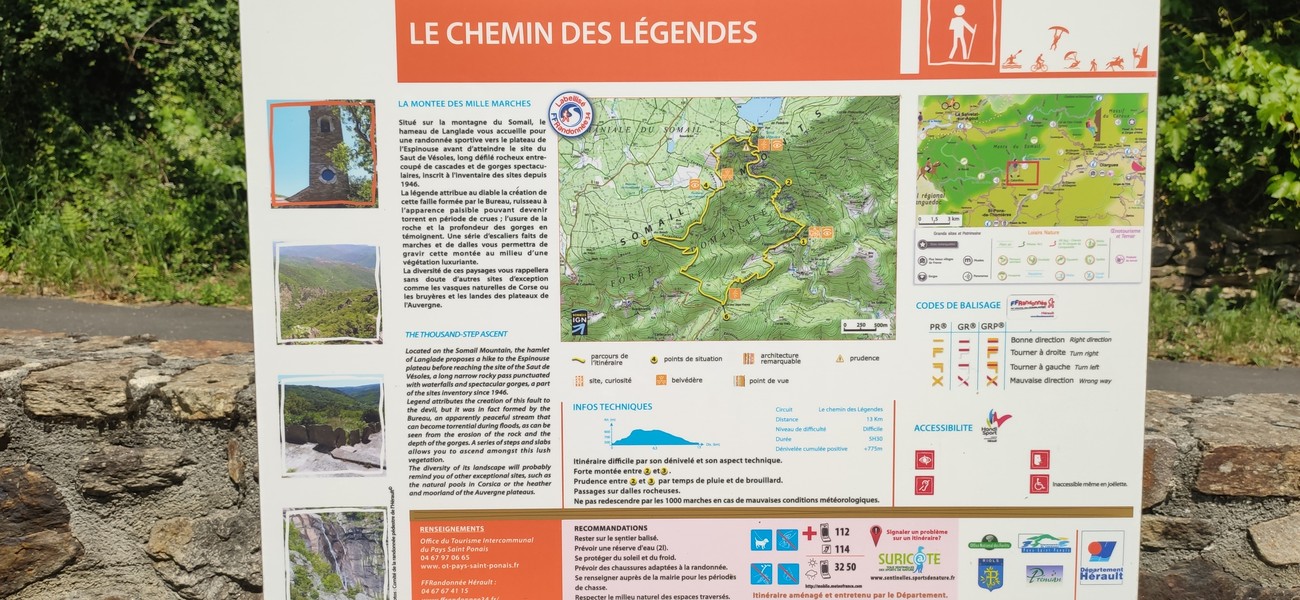 Slide 6