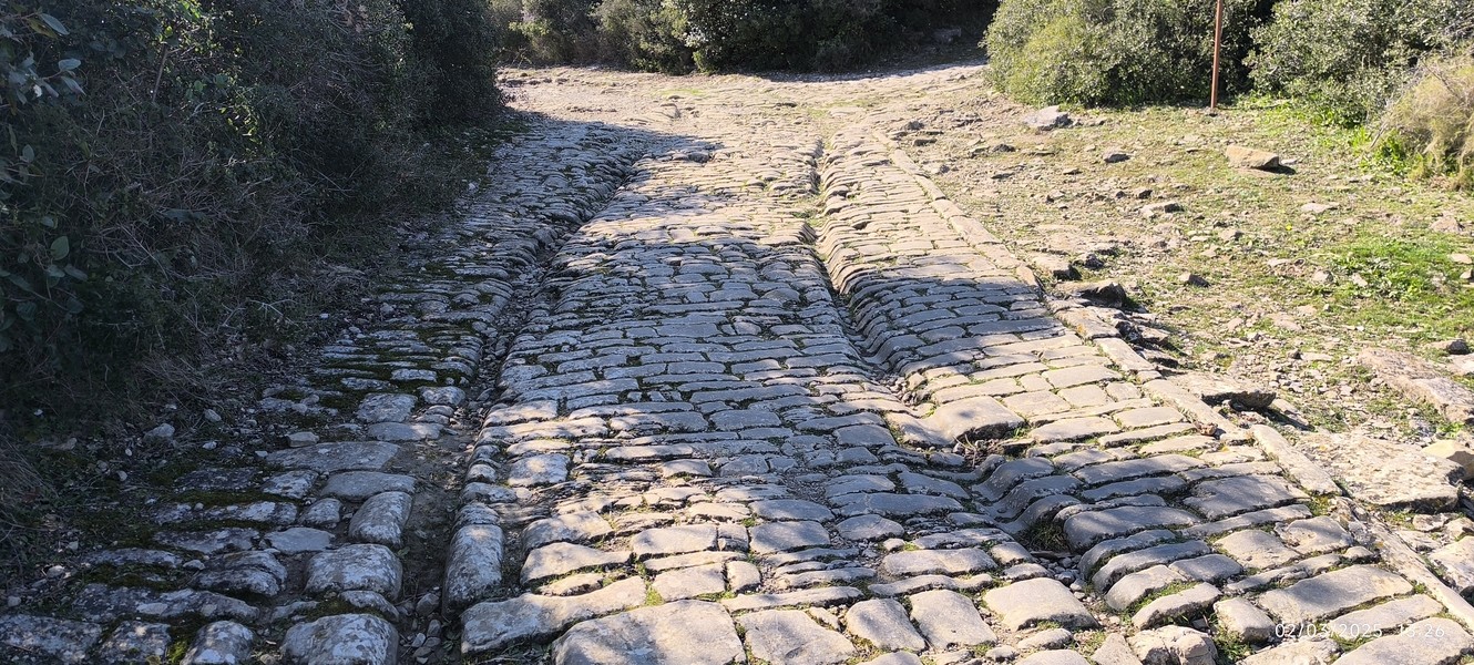 Slide 3