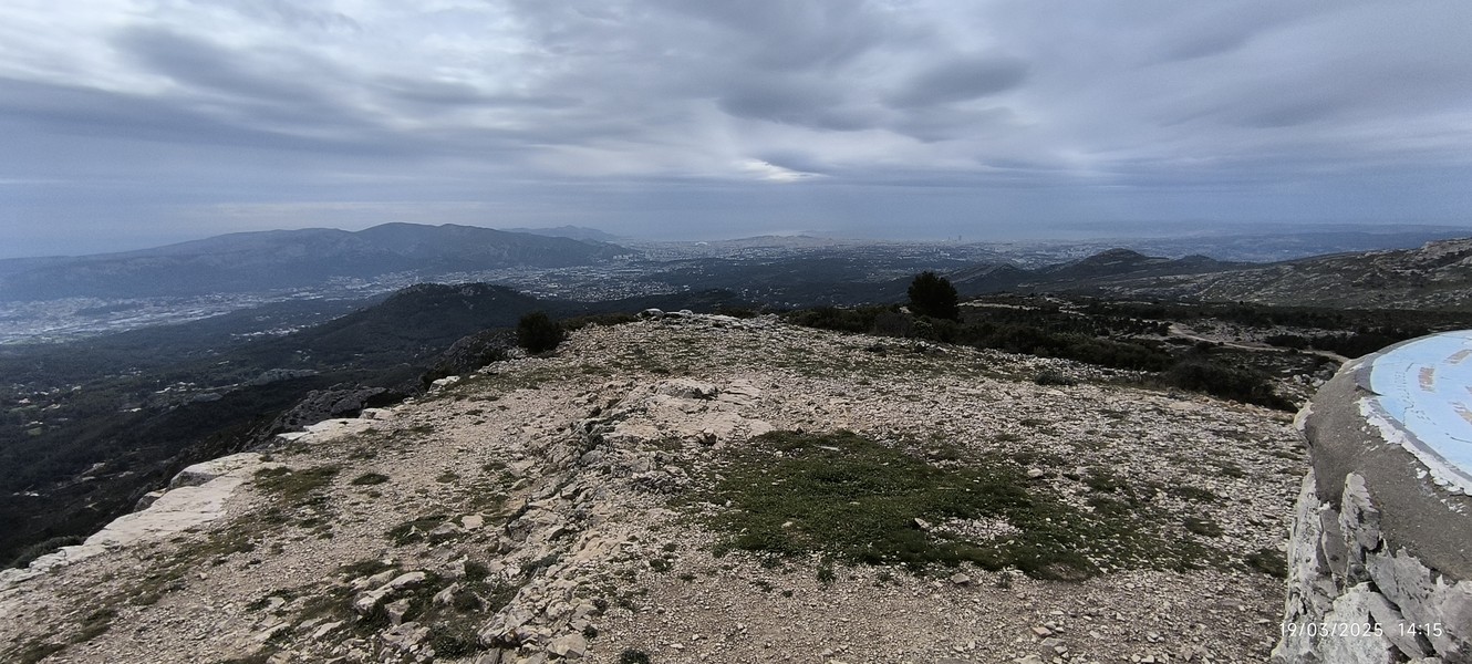 Slide 5