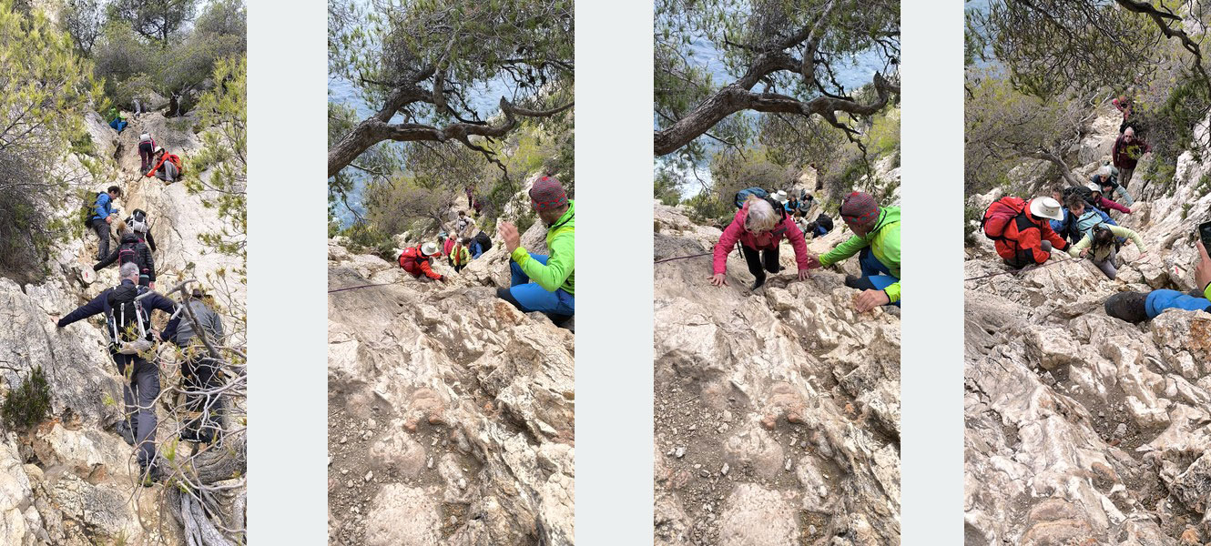 Slide 5