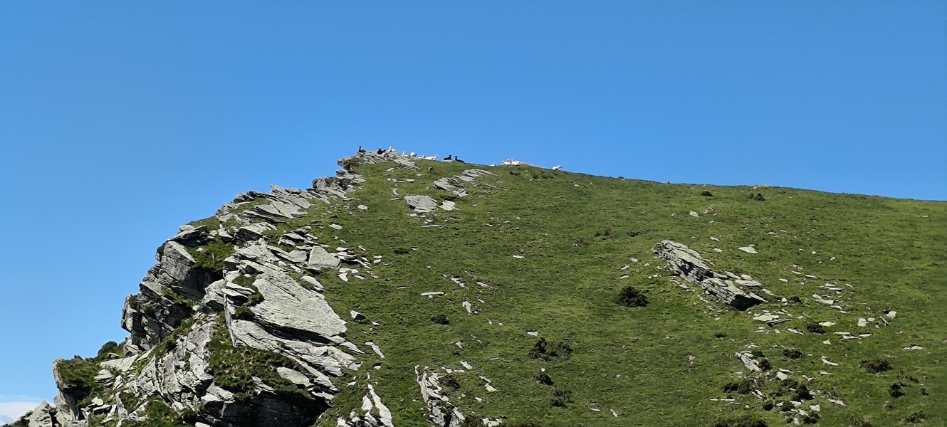 Slide 4