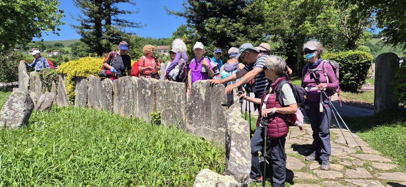 Slide 6